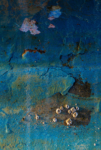 Boats by bulloch.photography