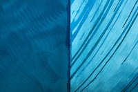 Boats by bulloch.photography