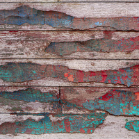 Boats by bulloch.photography