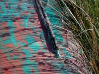 Boats by bulloch.photography