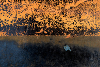 Boats by bulloch.photography